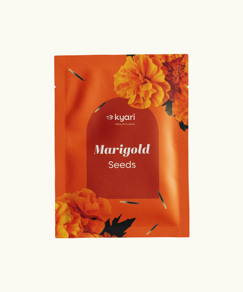 Marigold