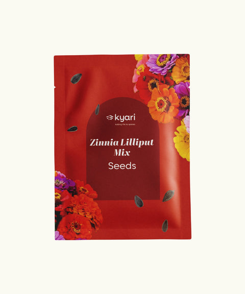 Zinnia Liliput Mix