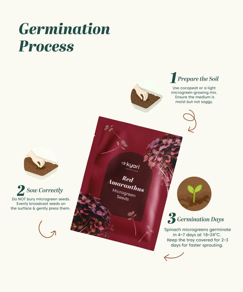 Red Amaranthus Vegetable Seeds (Red, Pack of 5 g) - 7000-8000 Seeds