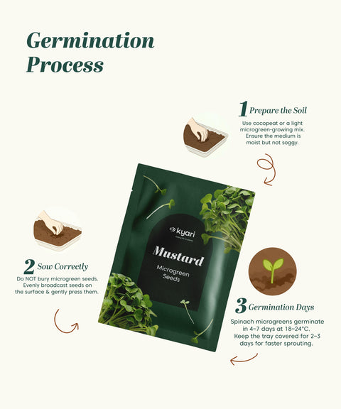 Mustard Microgreen Seeds (Green, Pack of 10 g) - 20 Seeds