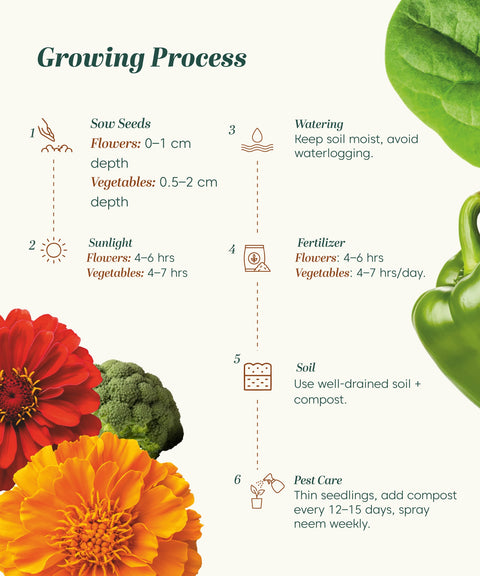 50 in 1 garden Seed Mix