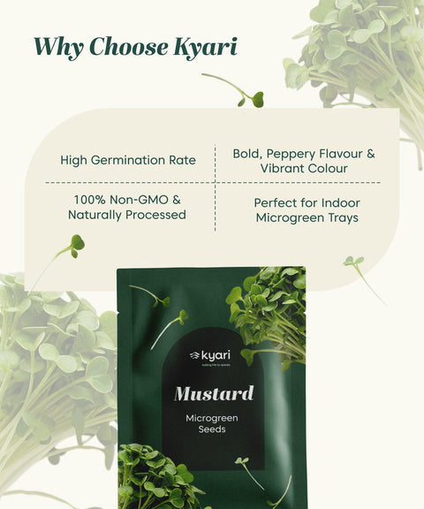 Mustard Microgreen Seeds (Green, Pack of 10 g) - 20 Seeds