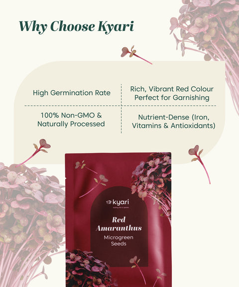 Red Amaranthus Vegetable Seeds (Red, Pack of 5 g) - 7000-8000 Seeds