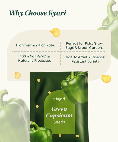 Green Capsicum