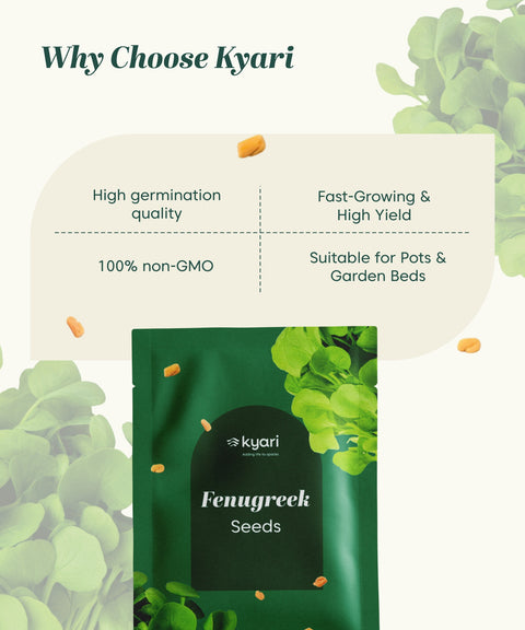 Fenugreek