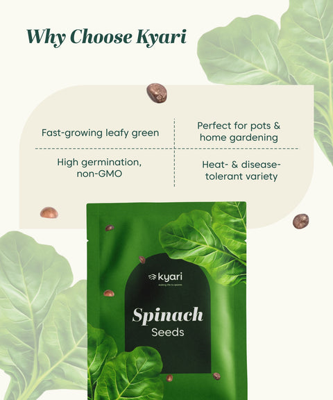 Spinach