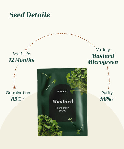 Mustard Microgreen Seeds (Green, Pack of 10 g) - 20 Seeds