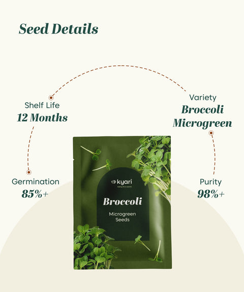 Broccoli Microgreen