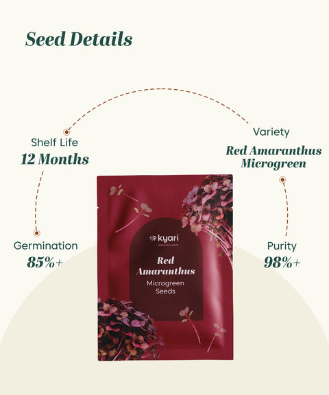 Red Amaranthus Vegetable Seeds (Red, Pack of 5 g) - 7000-8000 Seeds