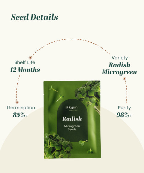 Radish Microgreen