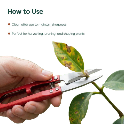 Plant Snips – Fine Precision Cutter for Plants - Thread Cutter