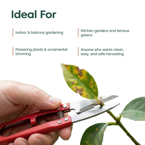 Plant Snips – Fine Precision Cutter for Plants - Thread Cutter