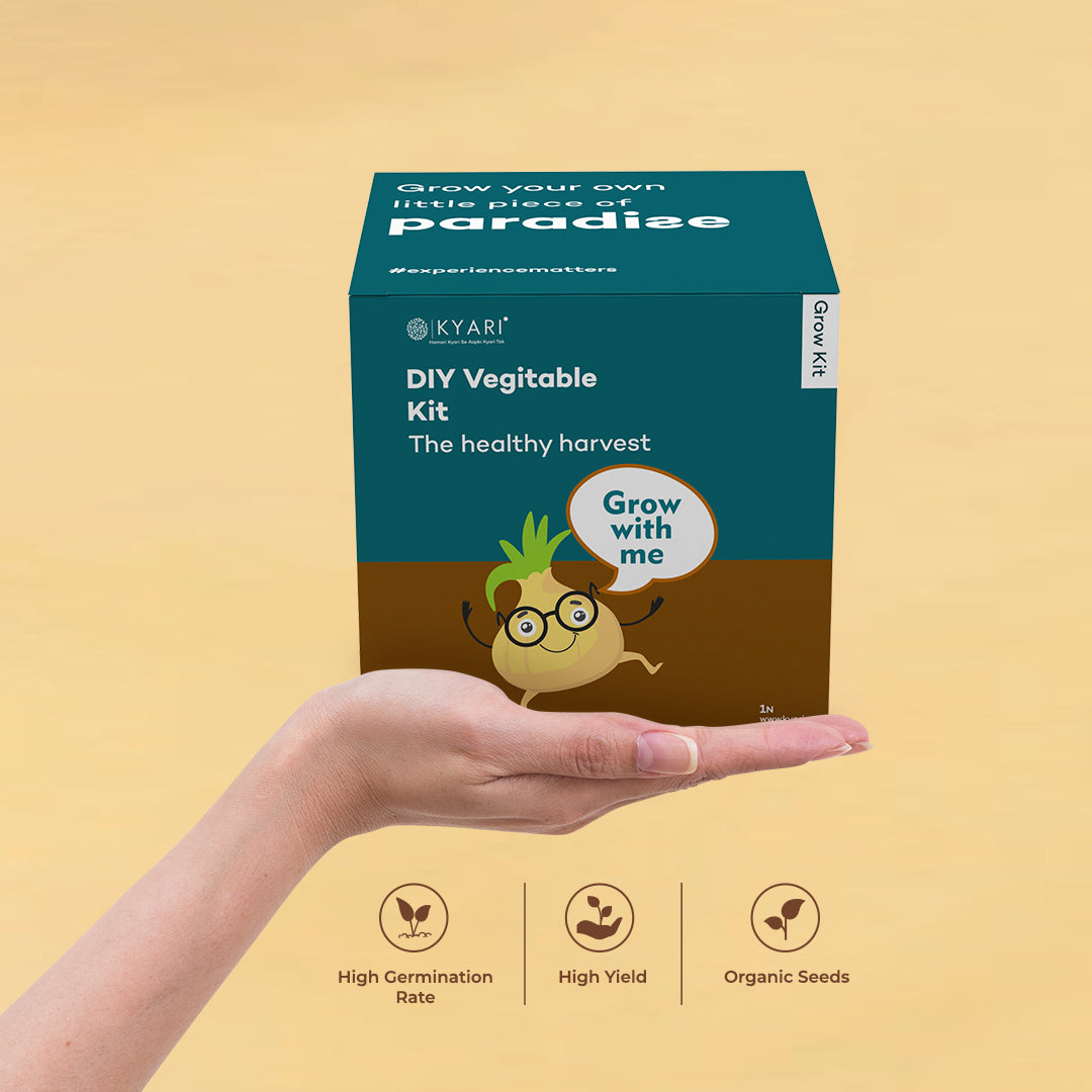 Vegetable - Grow Kit