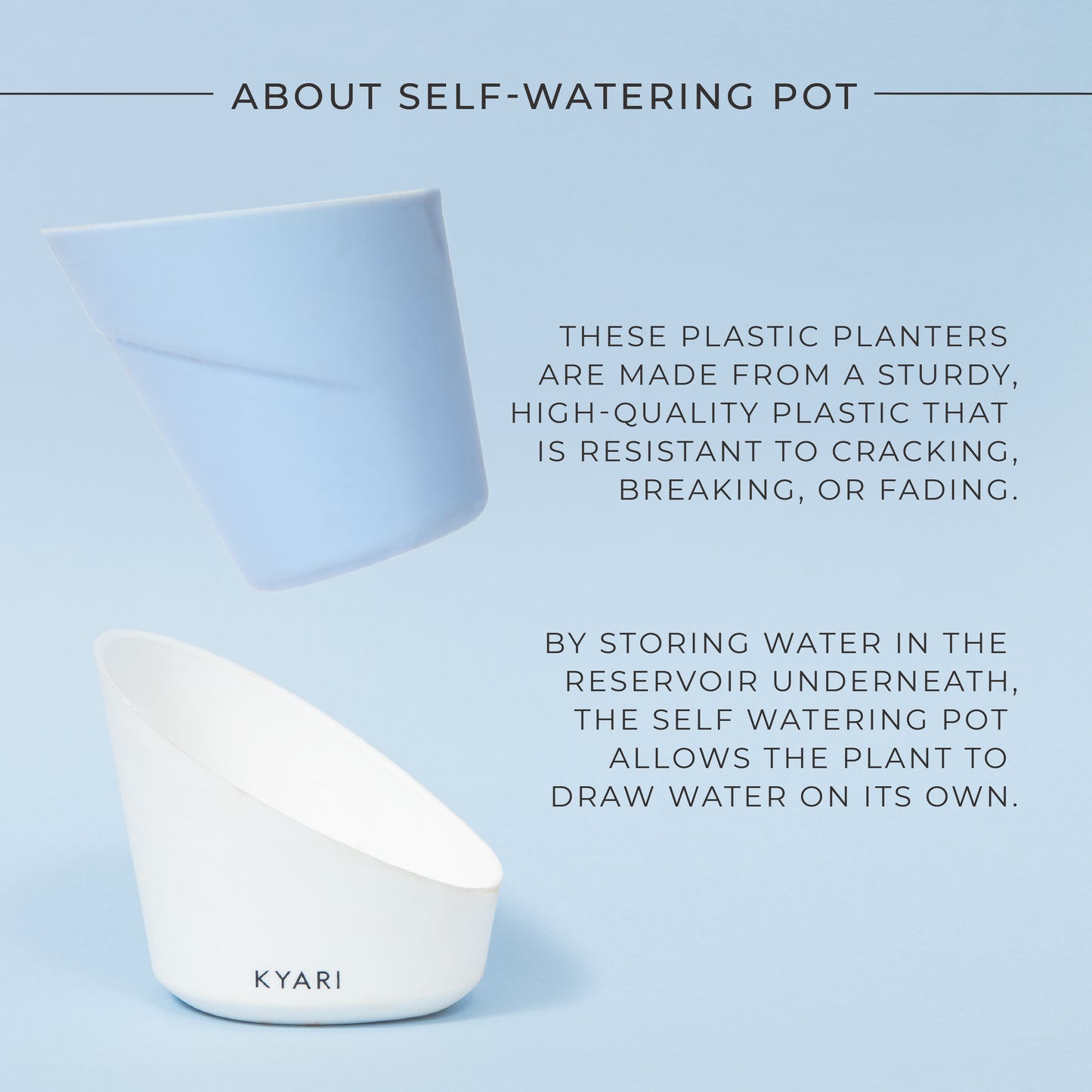 Money plant Njoy + Elite| 4" Self Watering Pot