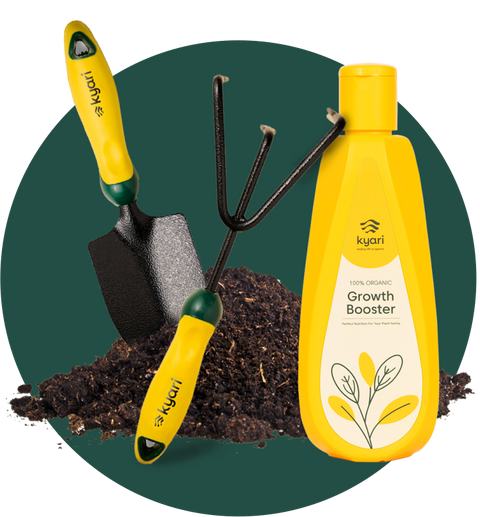 Gardening Tools & Accessories