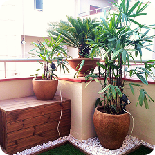 Balcony Spot