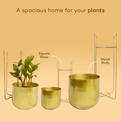 Metallic Golden Pot With Stand (Set of 3)