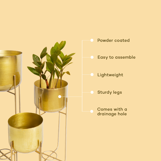 Metallic Golden Pot With Stand (Set of 3)