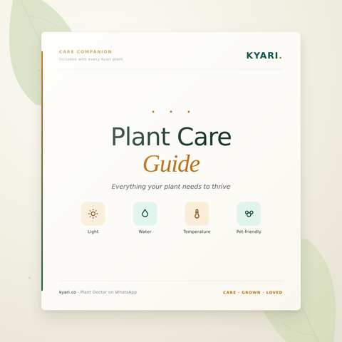 Care Guide