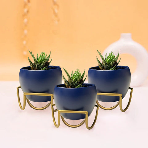 Solid 3.5"  Apple Miniature Pot with Stand - Pack of 3 Paytm Offer