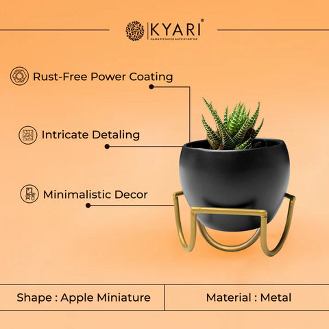 Solid 3.5"  Apple Miniature Pot with Stand Paytm Offer