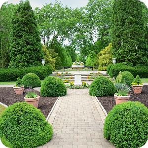 Sustainable, low-maintenance designs