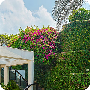 End-to-end landscaping service