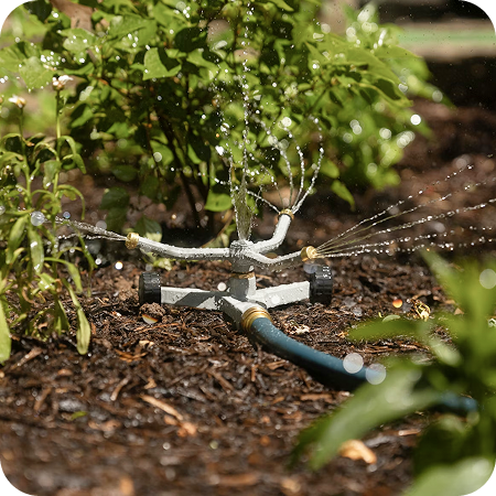 Eco-friendly, water-efficient practices