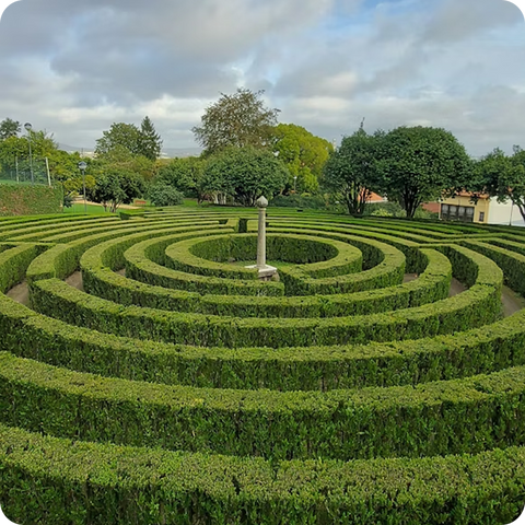 Landscape Design