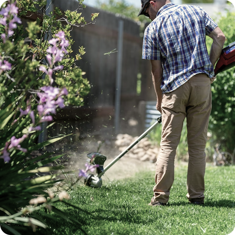 Lawn Setup & Care