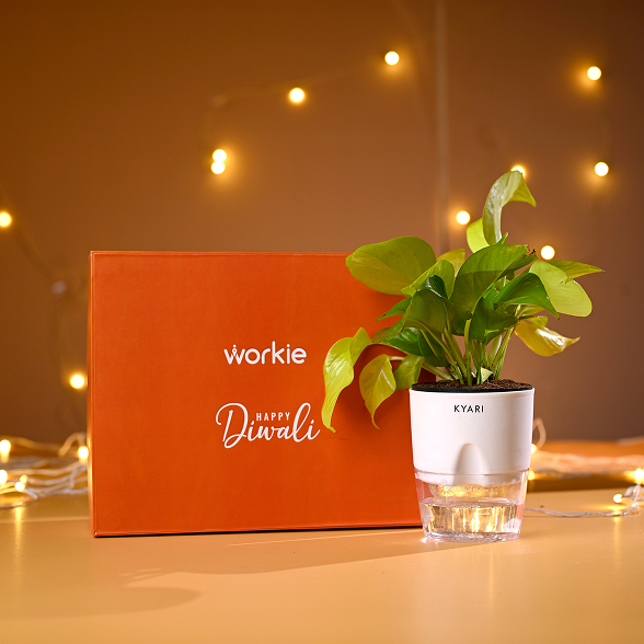 Workie Pvt. Ltd.
