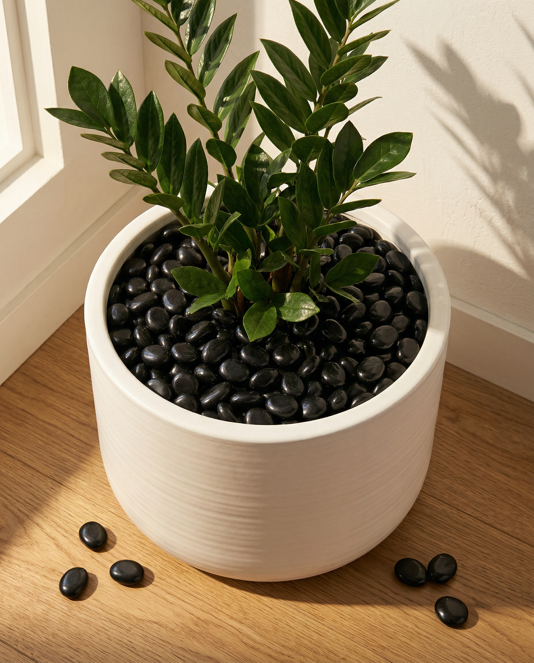 Tip Image 3