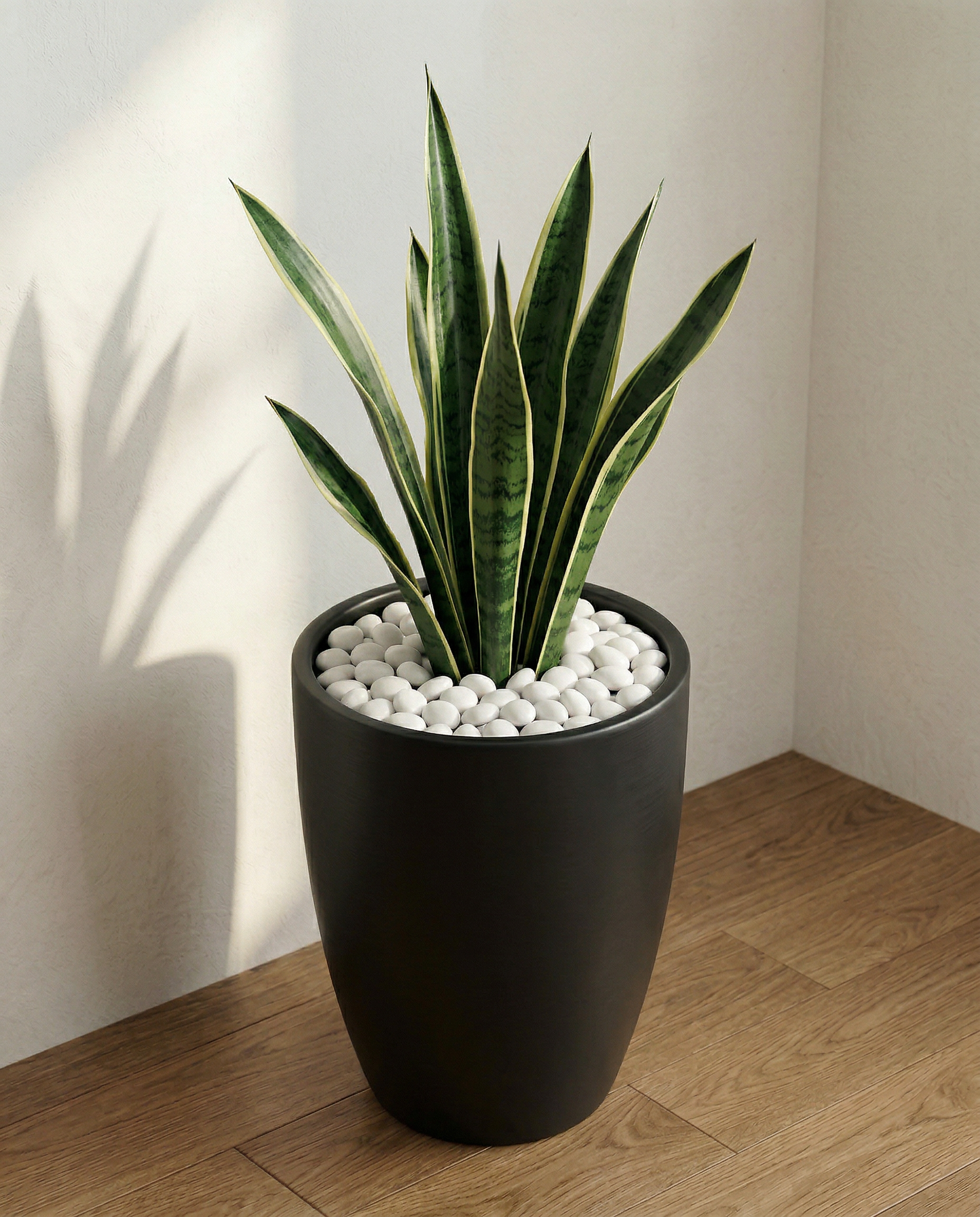 Tip Image 3