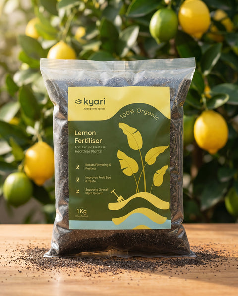 Kyari Lemon Fertiliser 1 kg