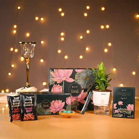 Enchanted Diwali Gift Set