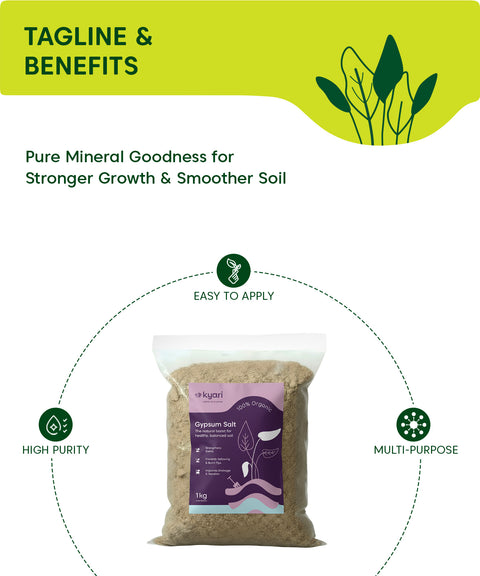 Kyari Gypsum Salt