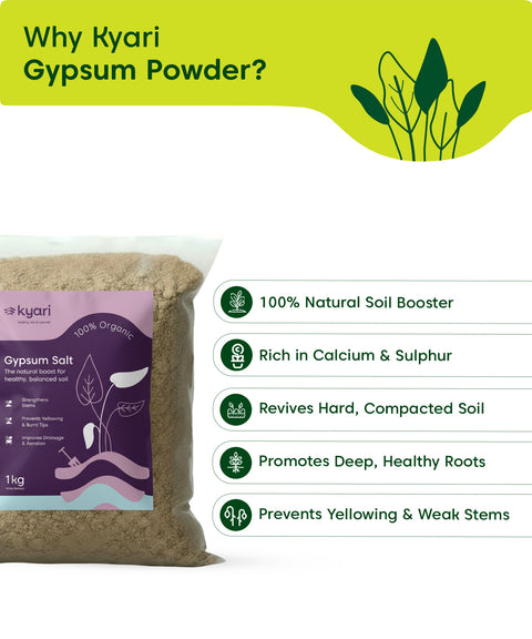 Kyari Gypsum Salt