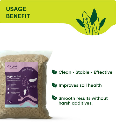 Kyari Gypsum Salt