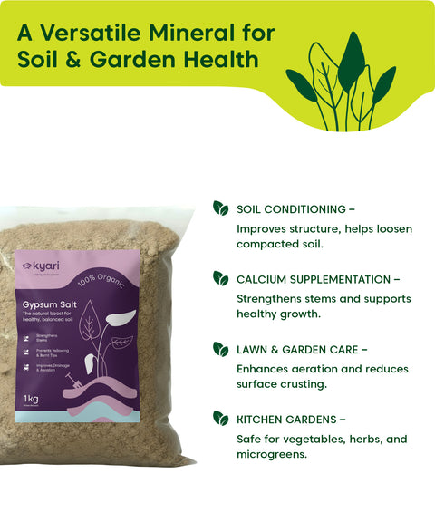 Kyari Gypsum Salt