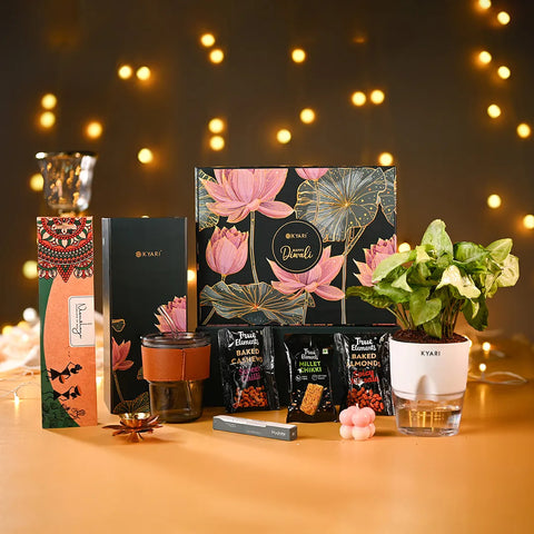 Luxurious Diwali Delight Box