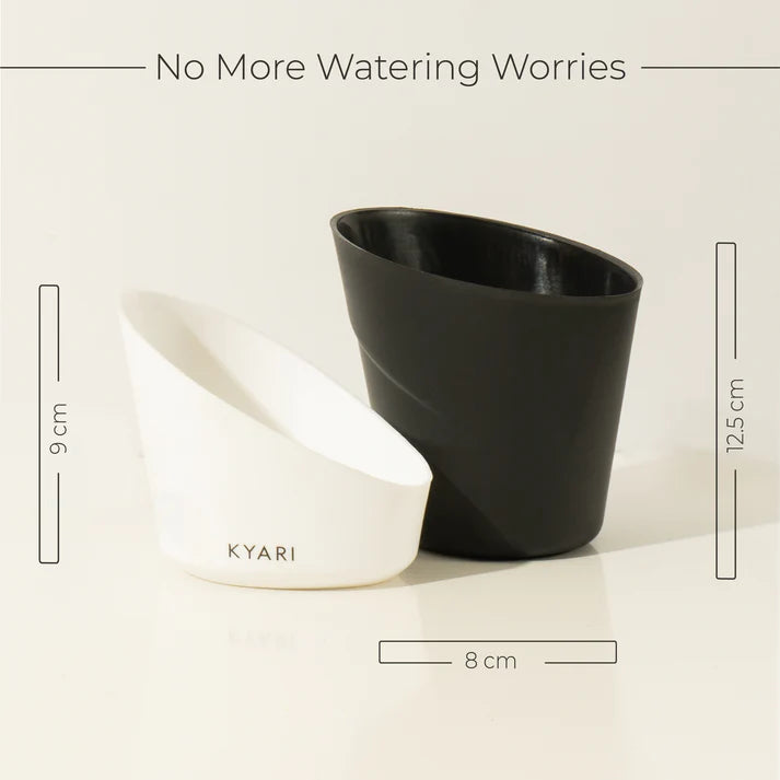 Elite Collection Combo of Matte Black Self-Watering Pots