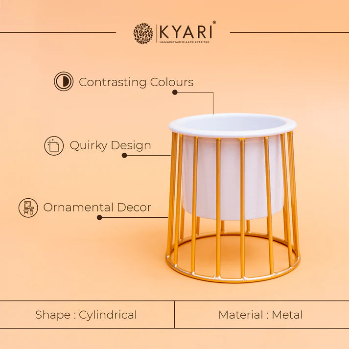 Designer Metallic Cylindrical Planter