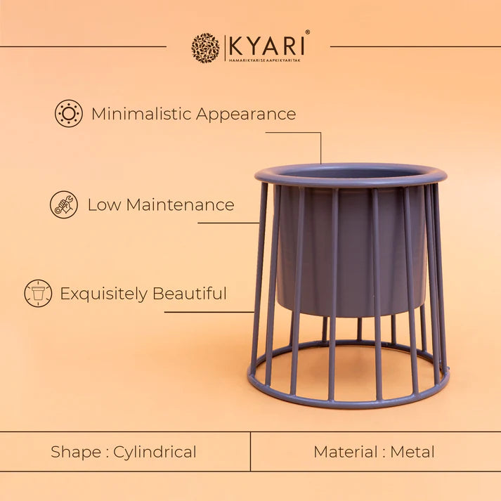 Designer Metallic Cylindrical Planter