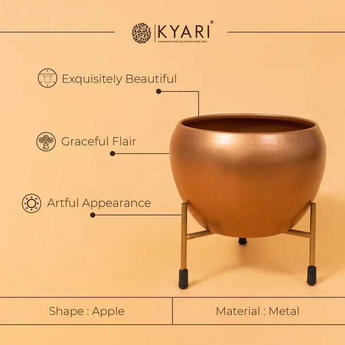 Copper Finish Iron Pot With Stand