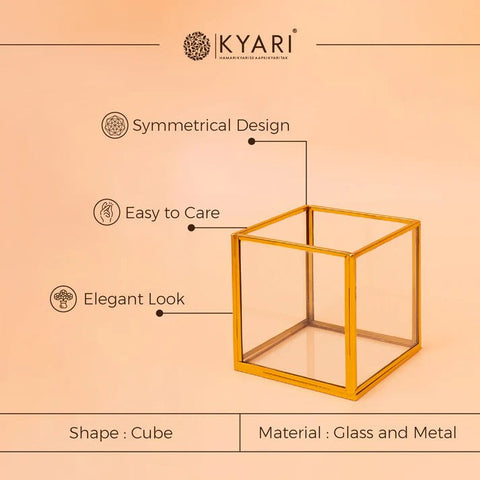 Square Box Tabletop Terrarium