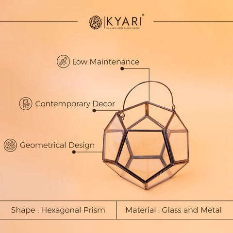 Geometric Terrarium Tabletop Plant Container