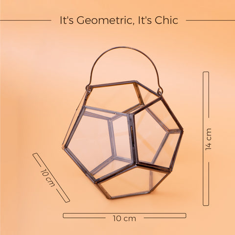 Geometric Terrarium Tabletop Plant Container