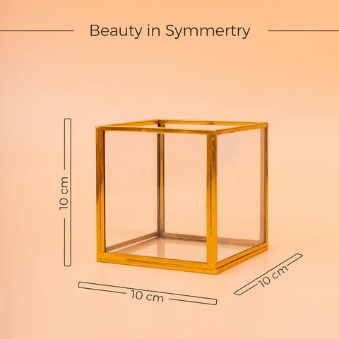 Square Box Tabletop Terrarium