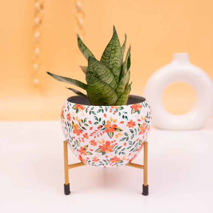 Floral Printed Pot With Iron Stand