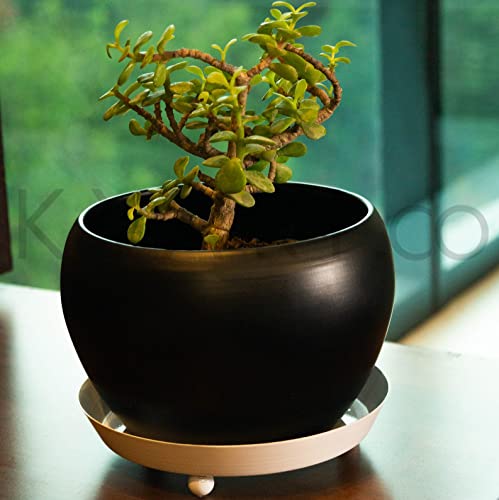 Classic Flower Pot With Tray